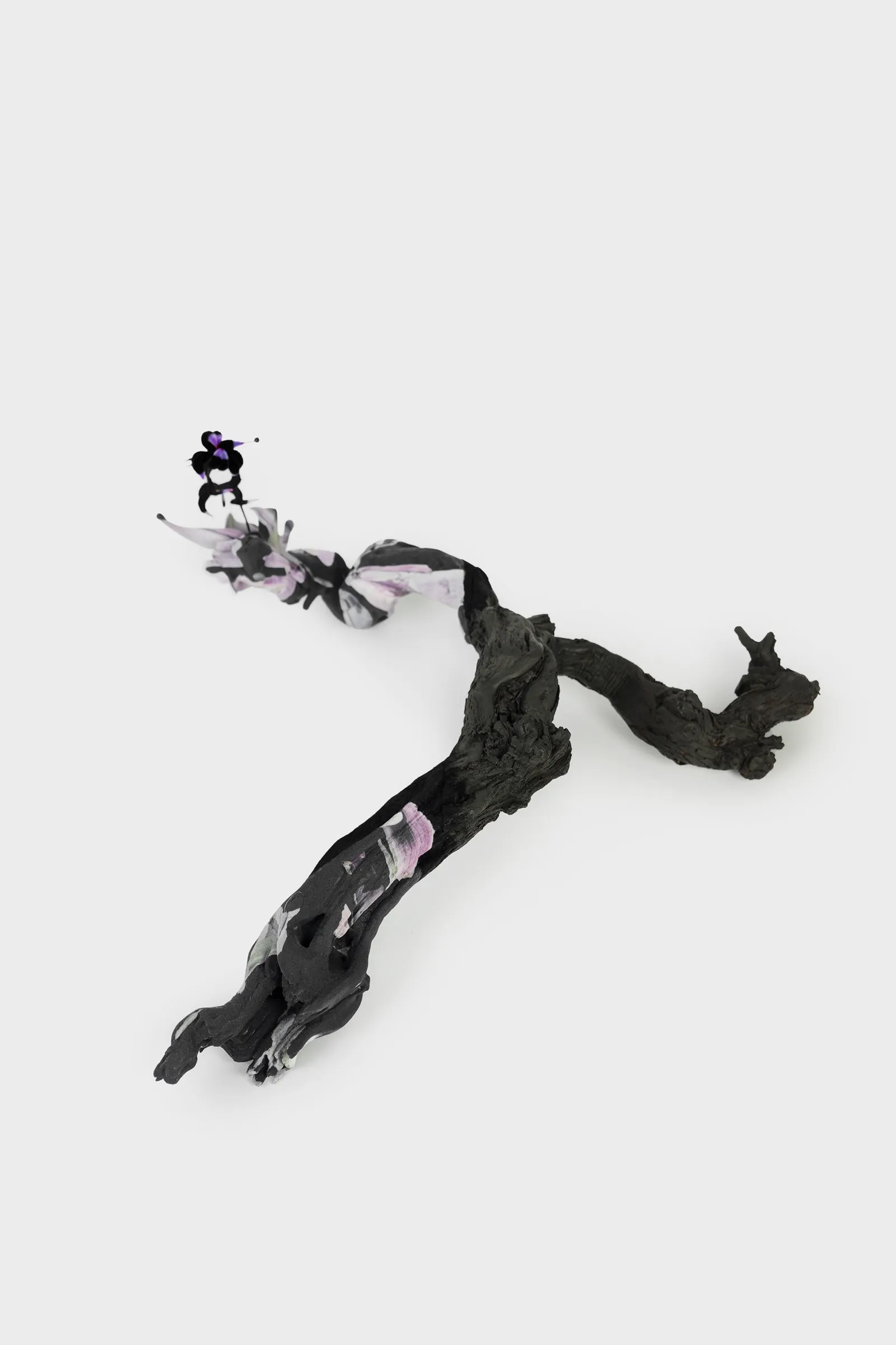 Symbiotic Body 2