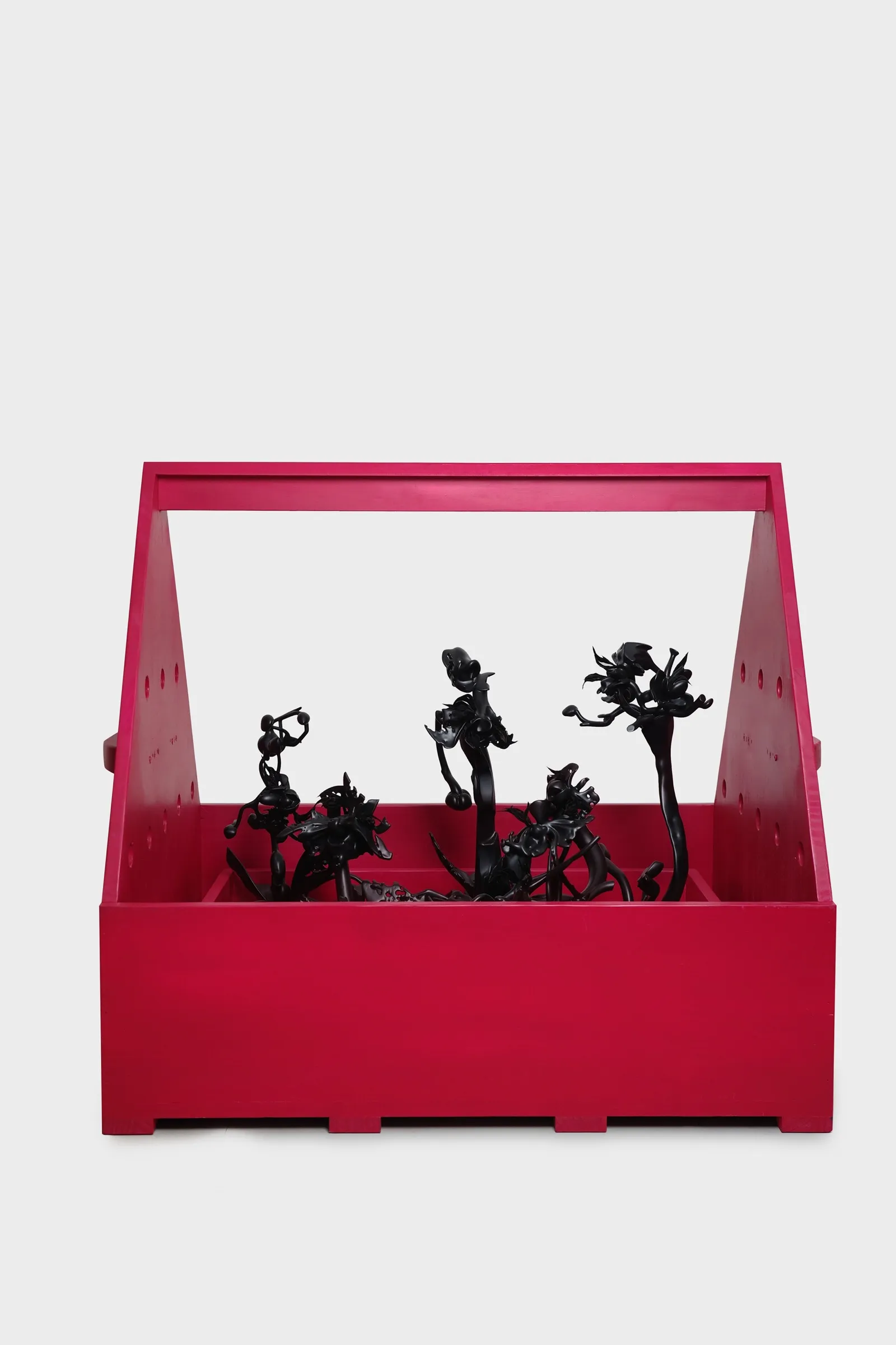 New Wardian Case 4
