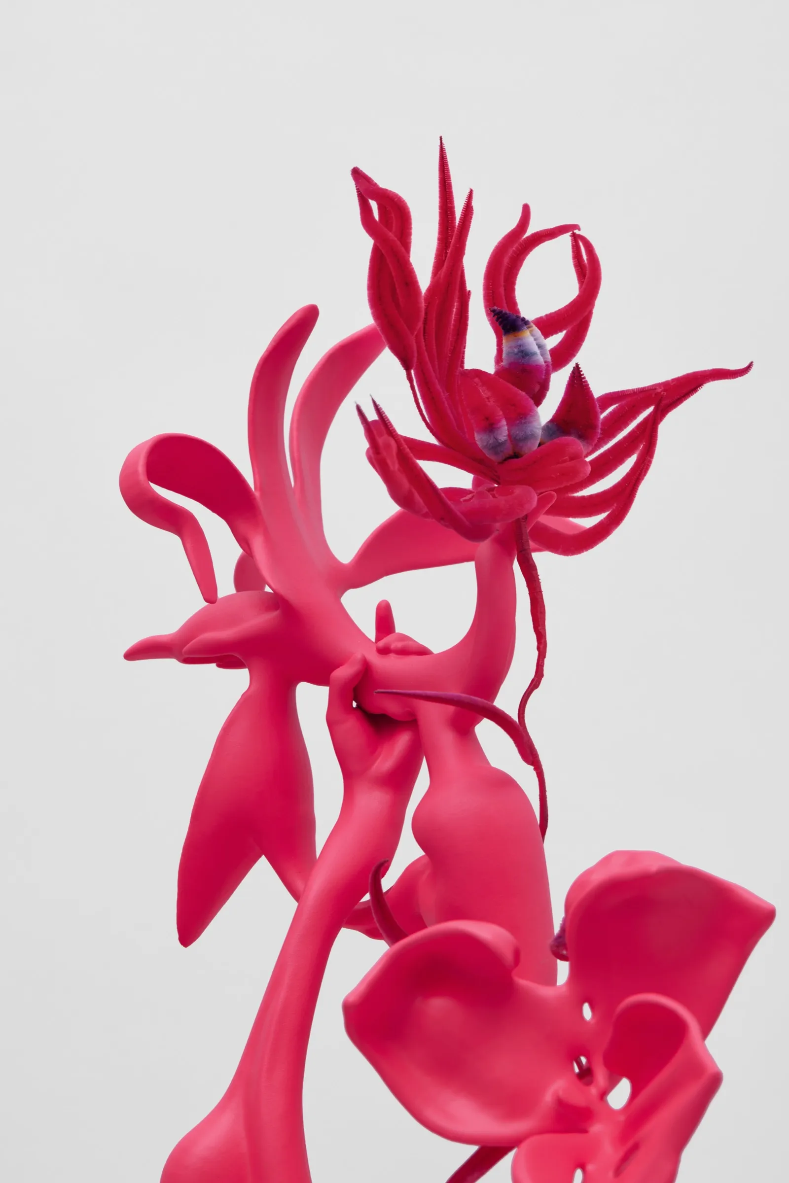 Void Blossom, image 2