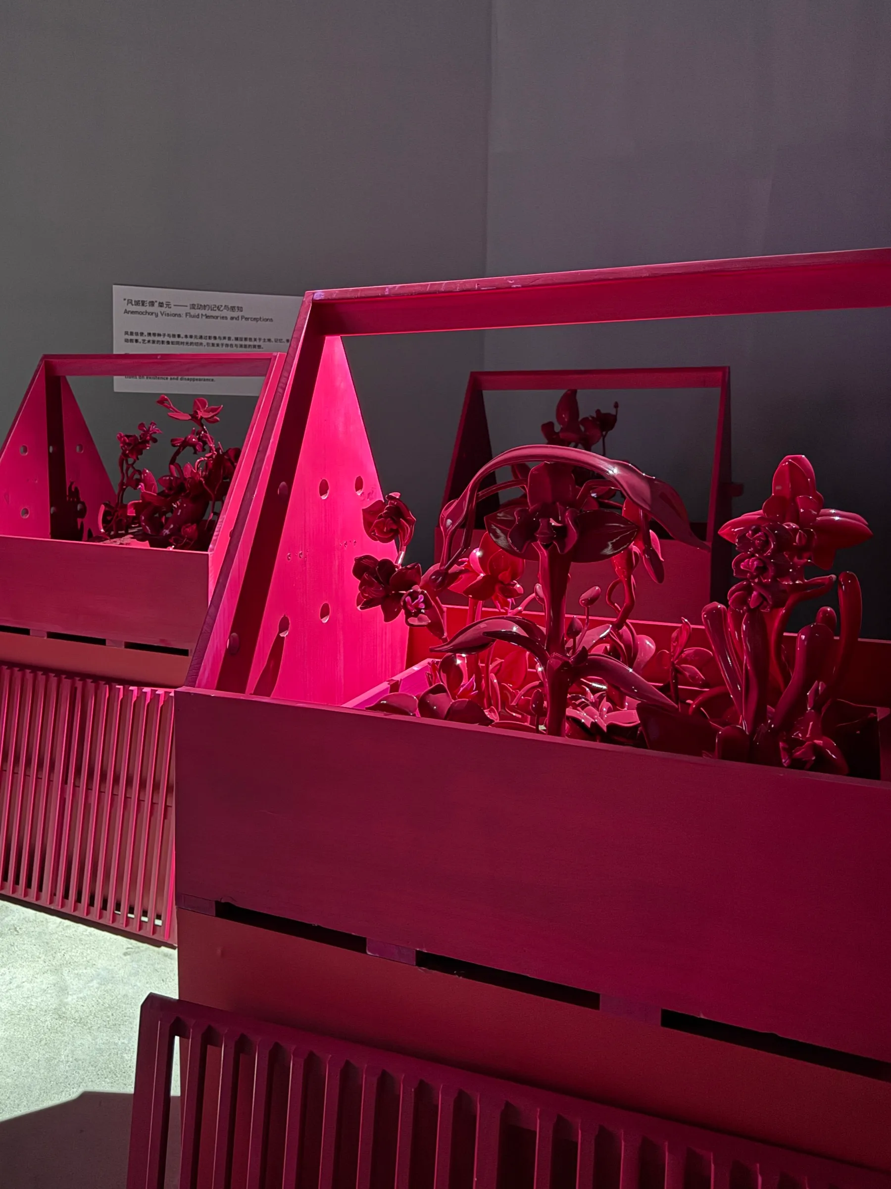 New Orchid Fever, 2025, image 3