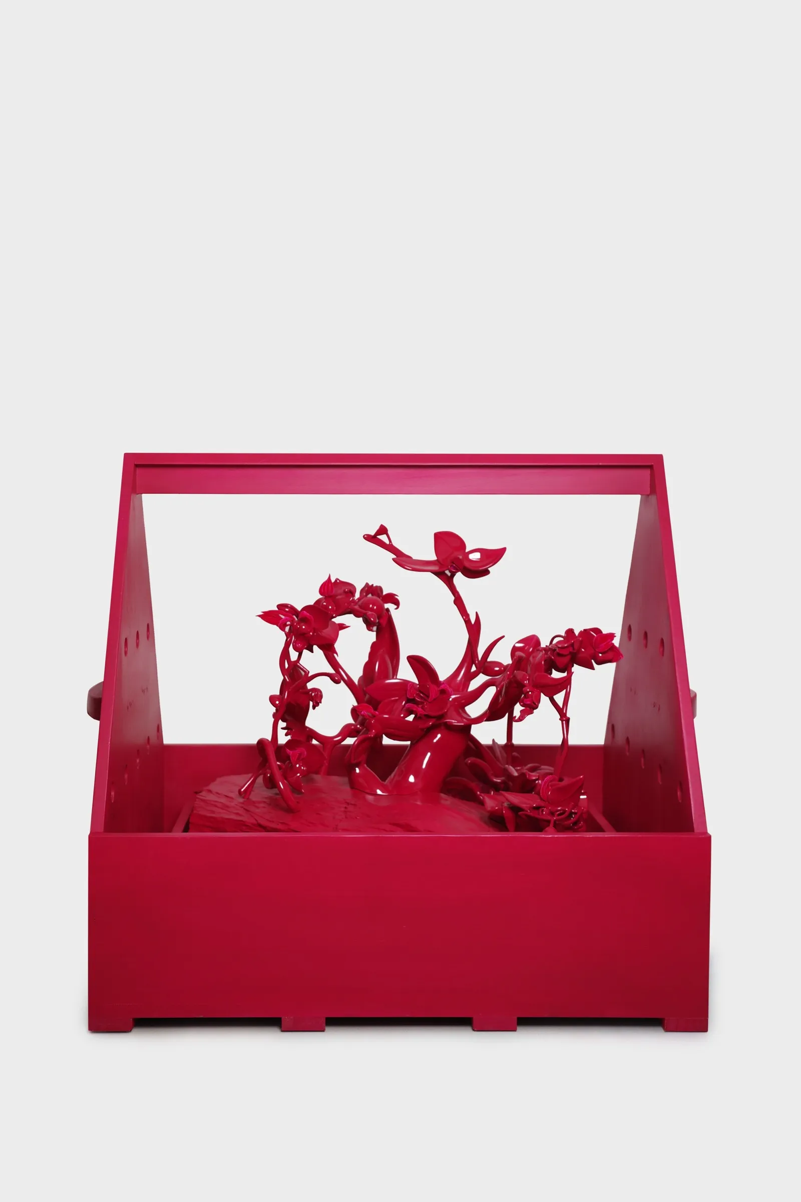 New Wardian Case 2