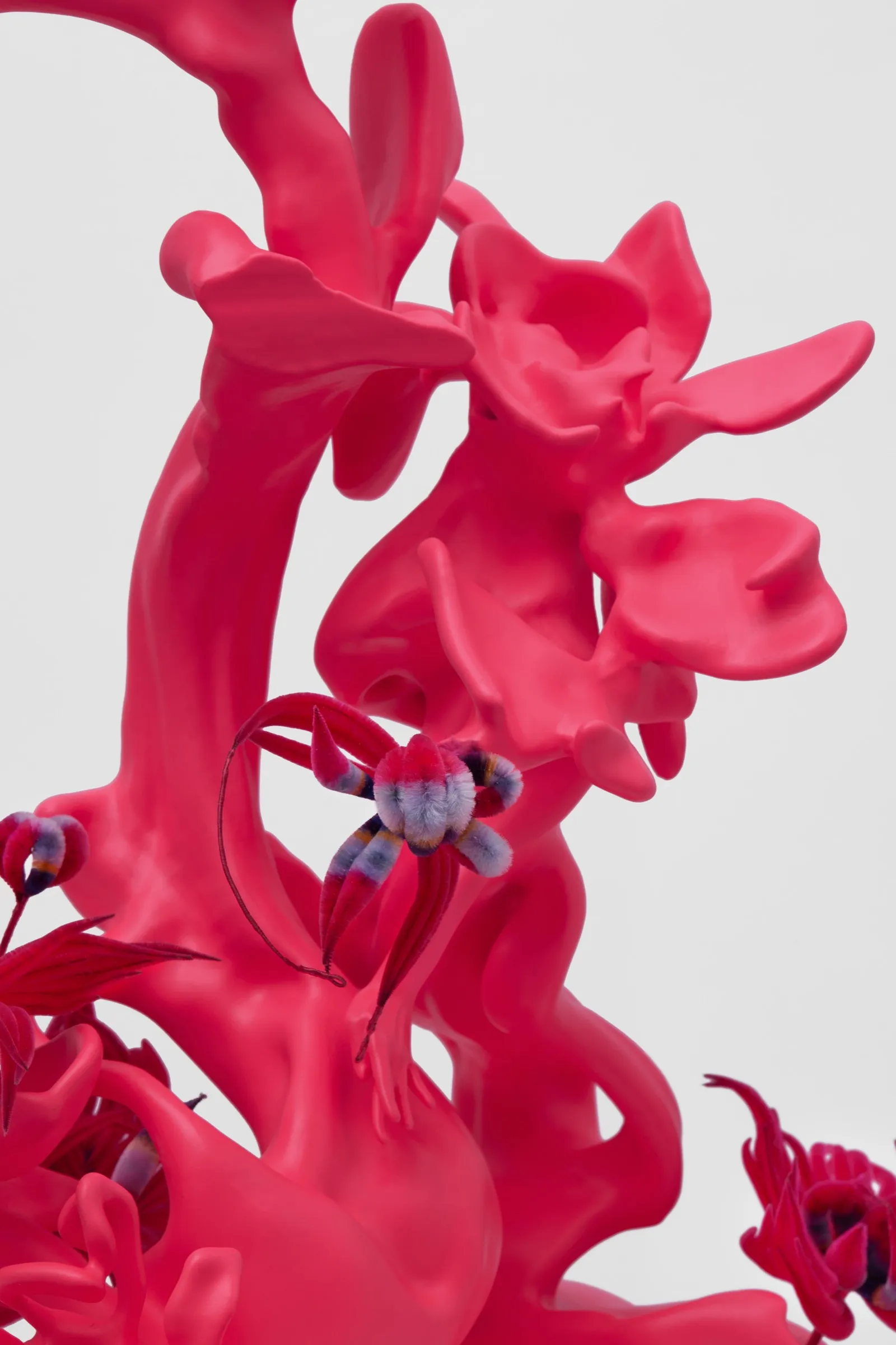 Co-Dance, image 3