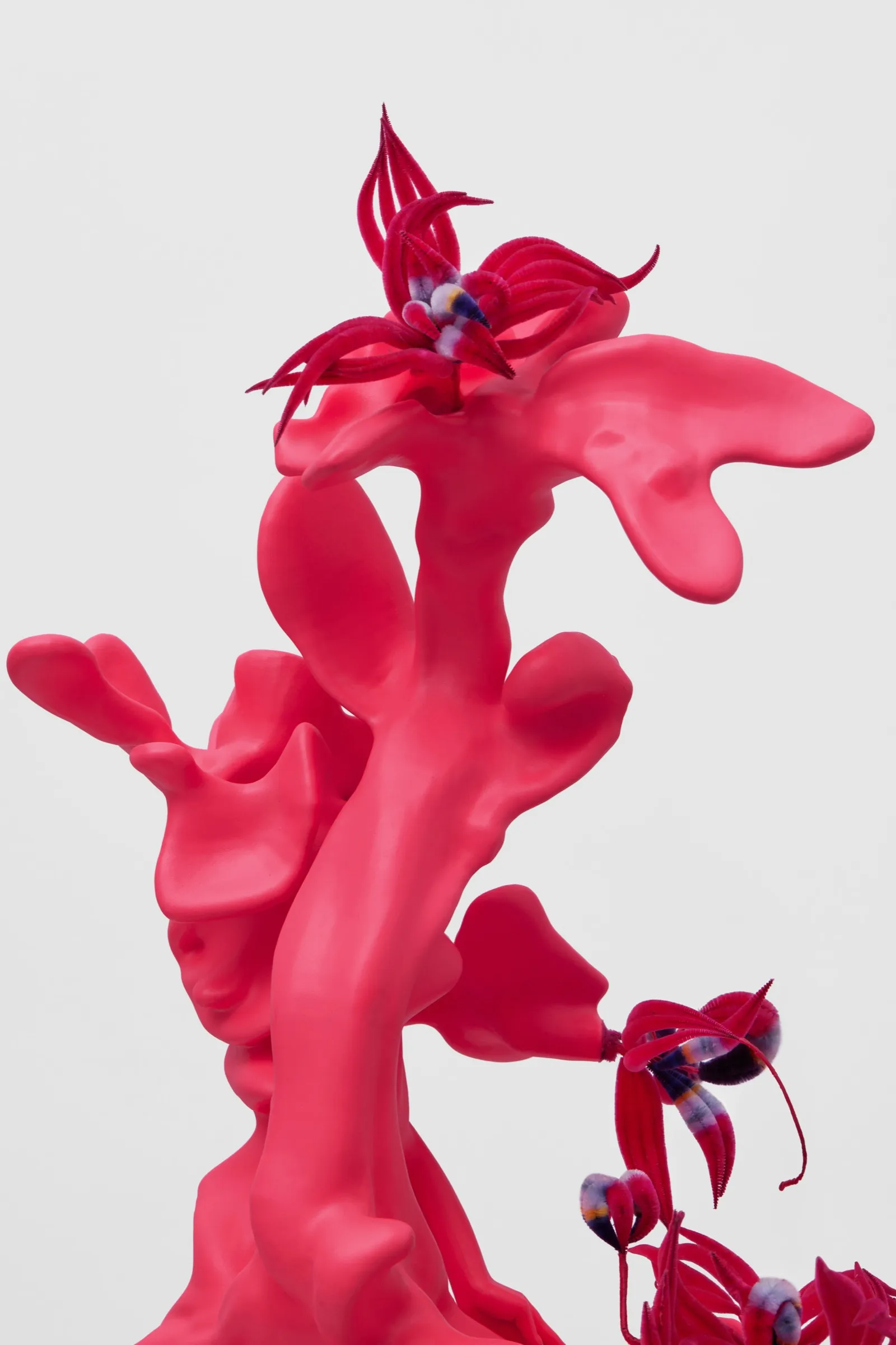 Co-Dance, image 5